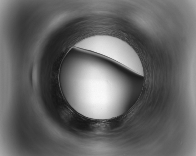 X0000088870383200706080726