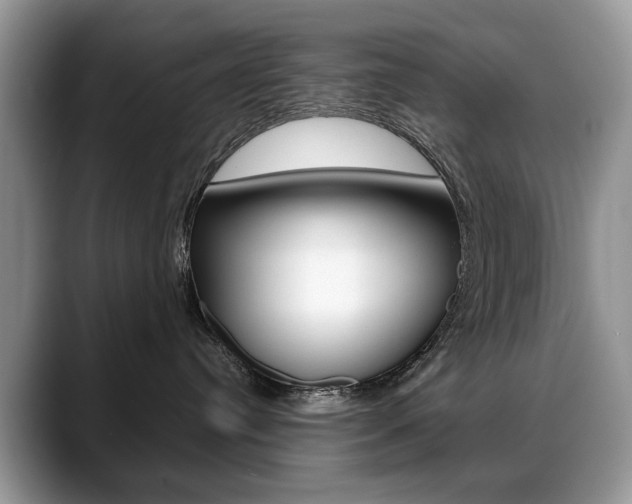 X0000088870384200706080726