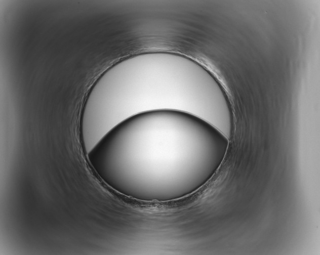X0000088870385200706080725