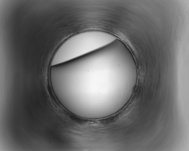 X0000088870386200706080725