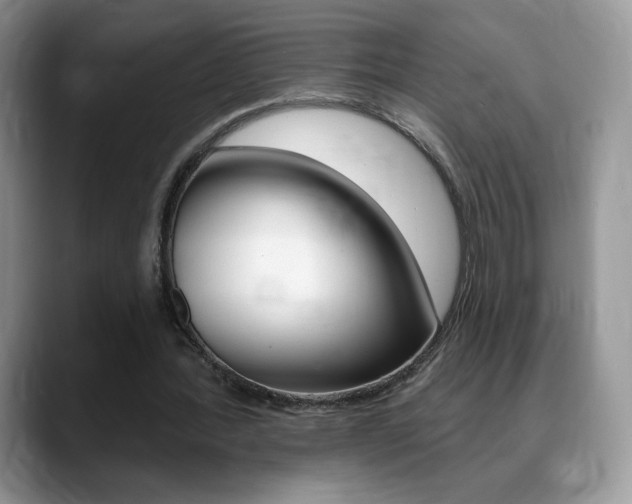 X0000088870388200706080725