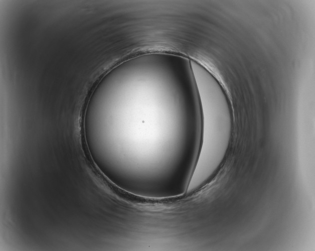 X0000088870389200706080725