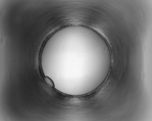 X0000088870390200706080725