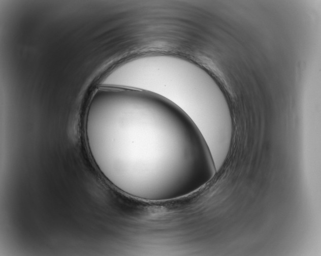 X0000088870392200706080725