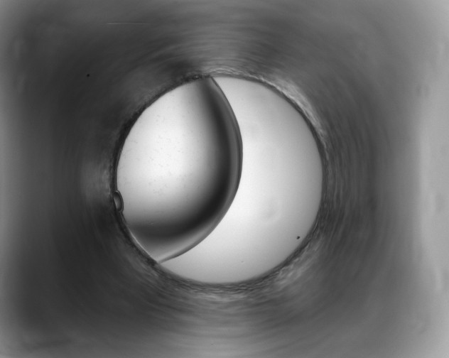 X0000088870393200706080725