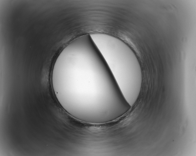 X0000088870394200706080725