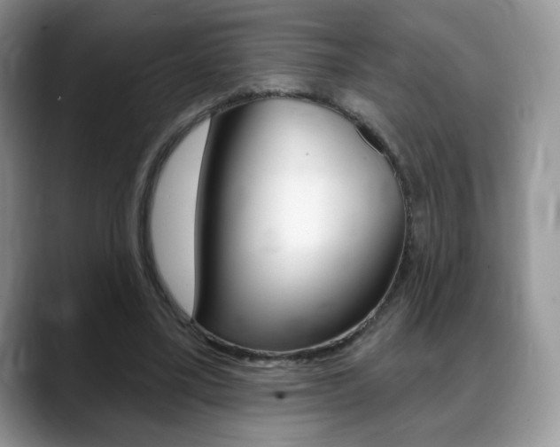 X0000088870395200706080725