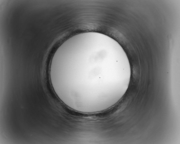 X0000088870396200706080725