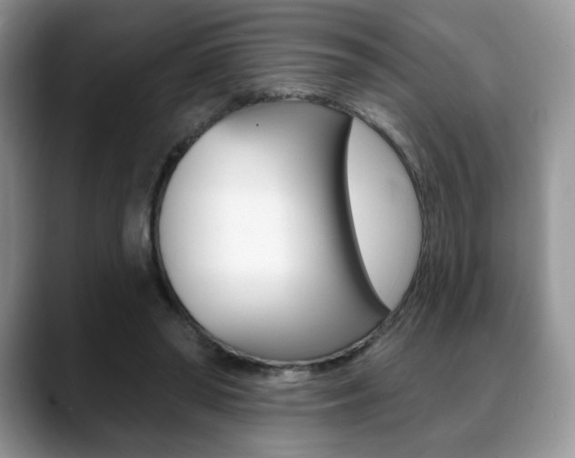 X0000088870398200706080725