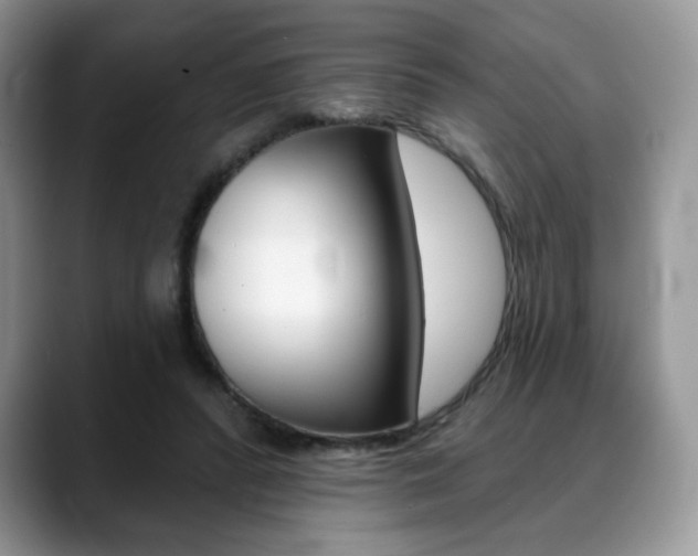 X0000088870400200706080725