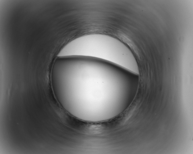 X0000088870401200706080725