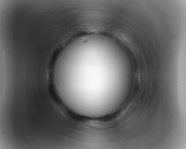 X0000088870408200706080725