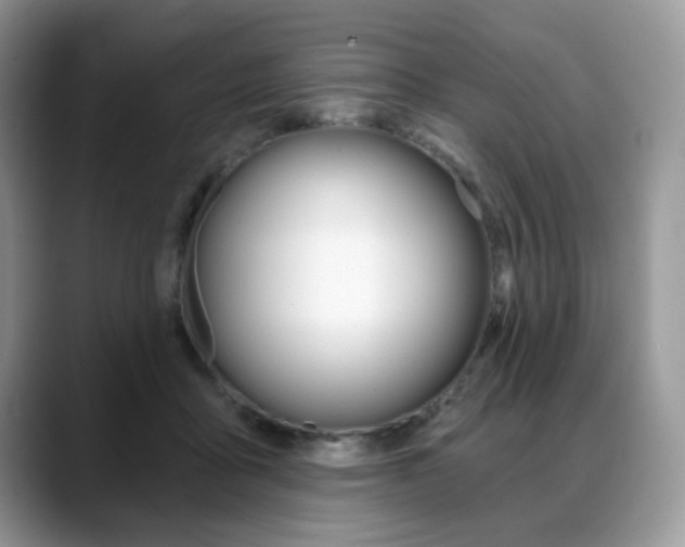 X0000088870411200706080725