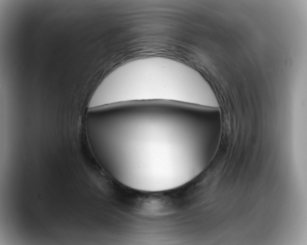 X0000088870412200706080725