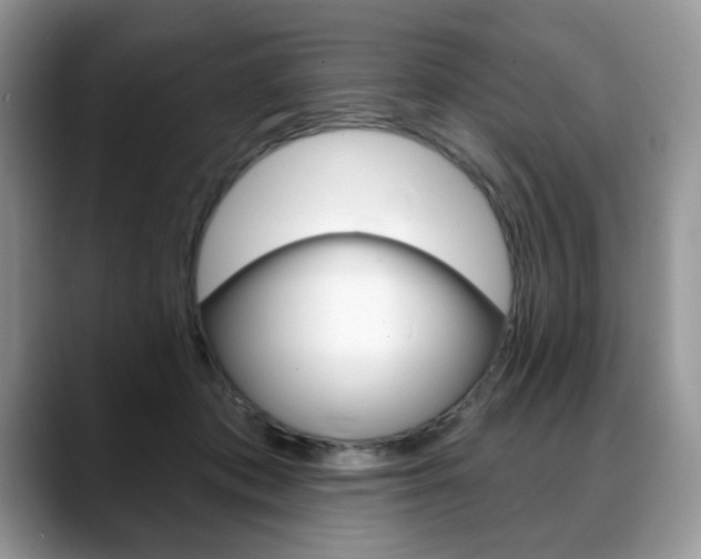X0000088870413200706080725