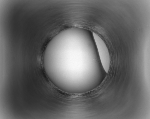 X0000088870415200706080725
