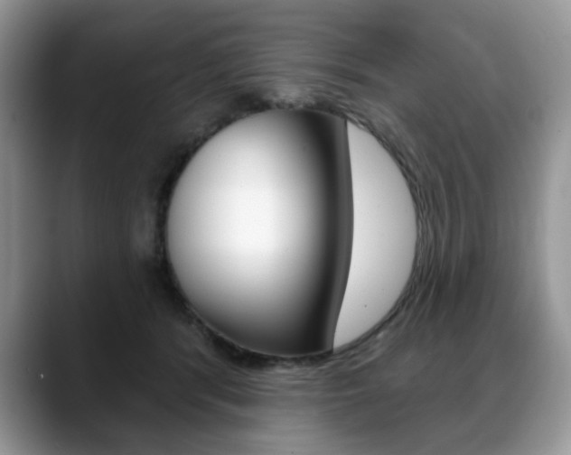 X0000088870416200706080725