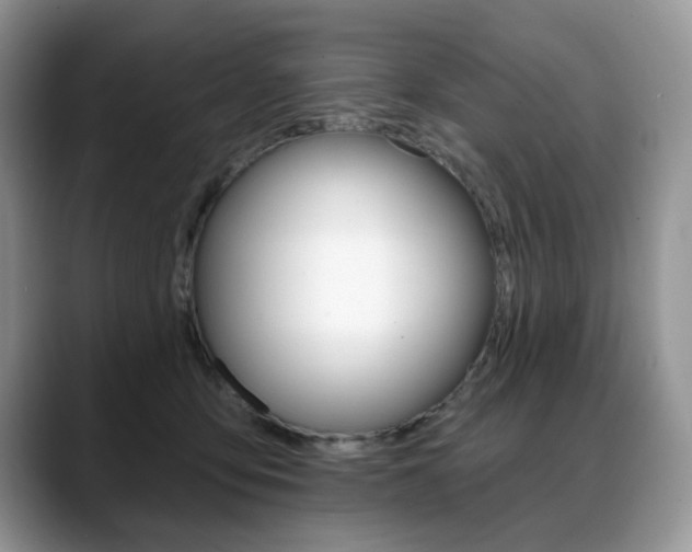 X0000088870419200706080725