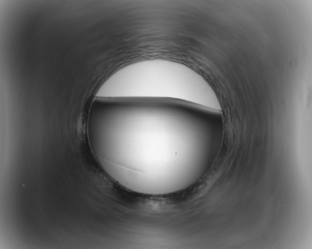 X0000088870420200706080725