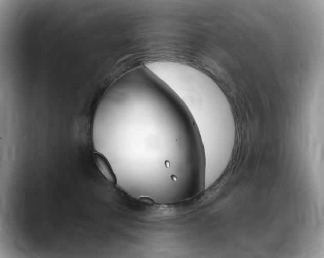 X0000088870421200706080725