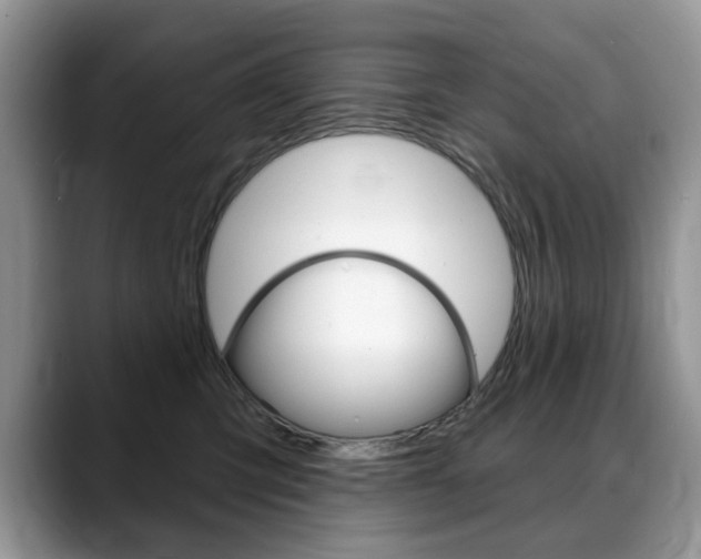 X0000088870423200706080725