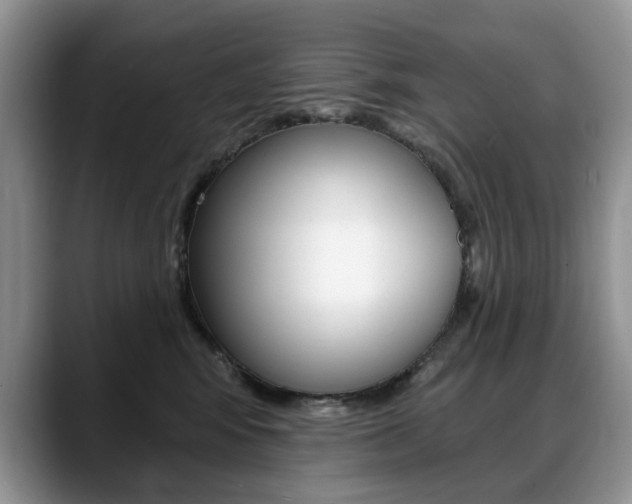 X0000088870424200706080725