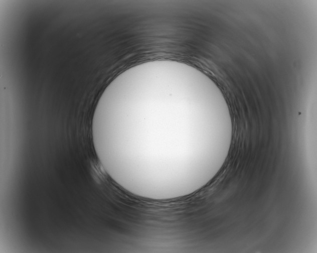 X0000088870425200706080725