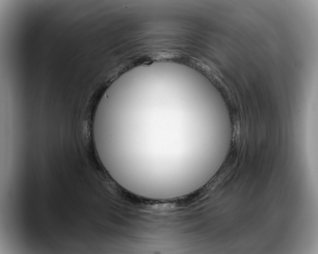 X0000088870426200706080725