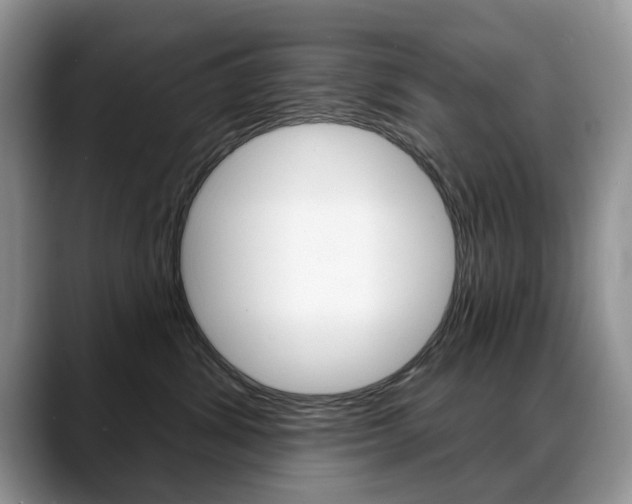X0000088870428200706080725