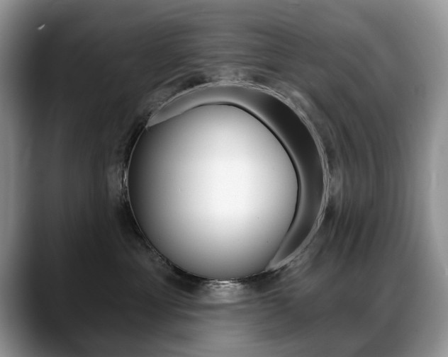 X0000088870429200706080725