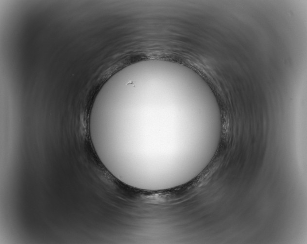X0000088870430200706080725