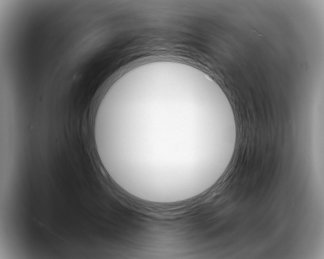 X0000088870431200706080725