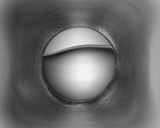X0000088870433200706080724