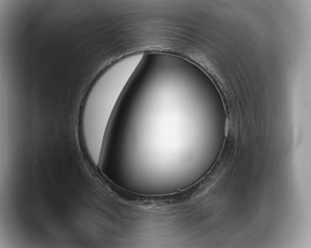 X0000088870434200706080724