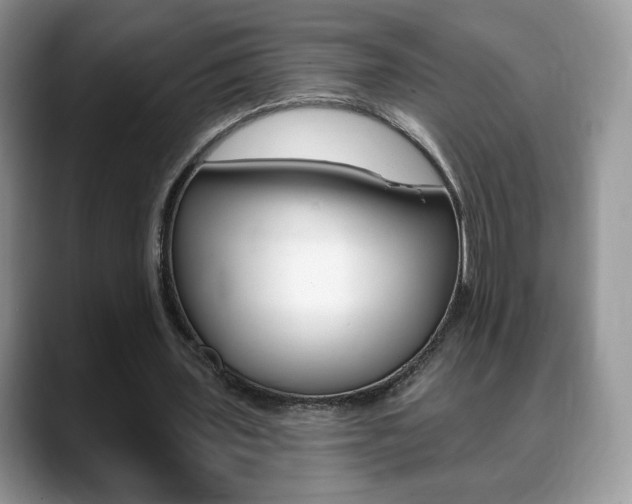 X0000088870435200706080724