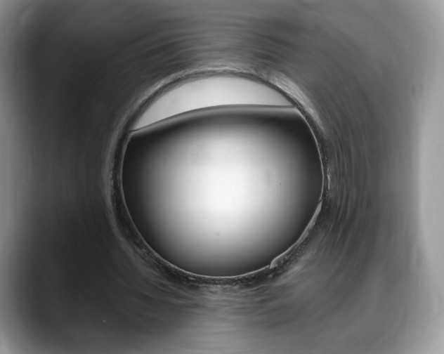 X0000088870436200706080724