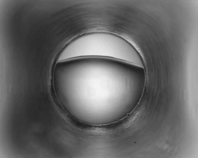 X0000088870437200706080724