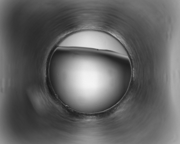 X0000088870438200706080724