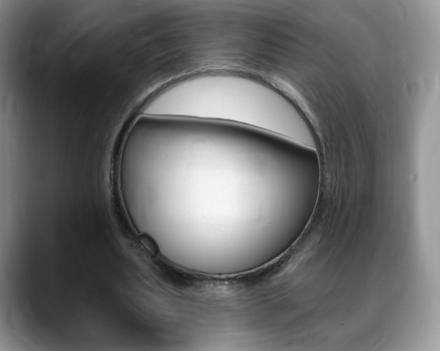 X0000088870439200706080724
