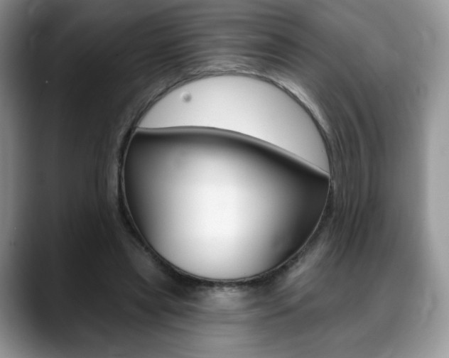 X0000088870445200706080724