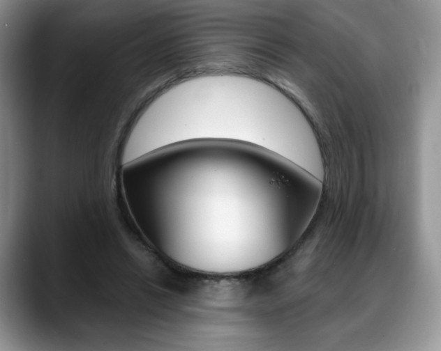 X0000088870446200706080724
