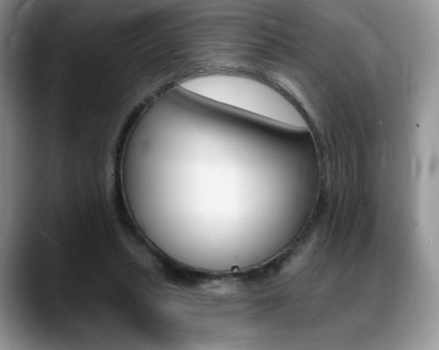 X0000088870447200706080724