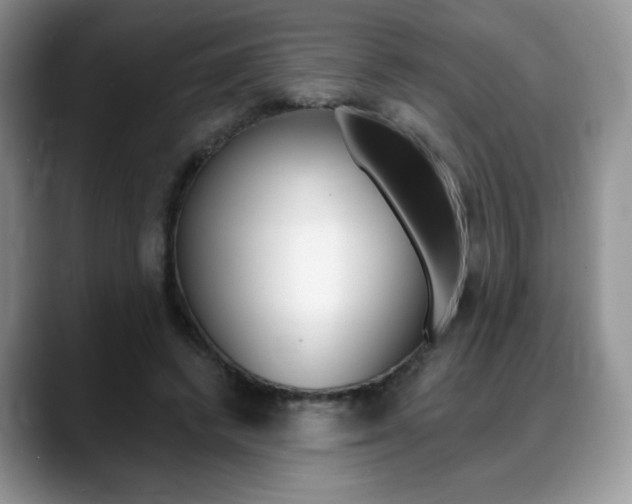 X0000088870448200706080724