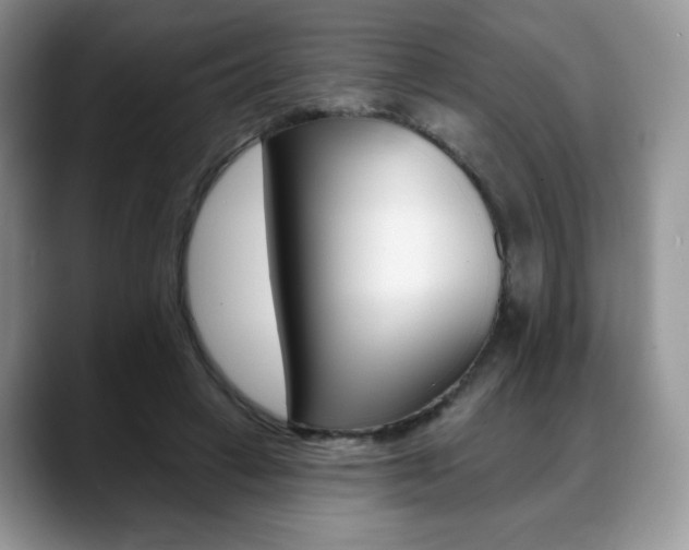 X0000088870449200706080724