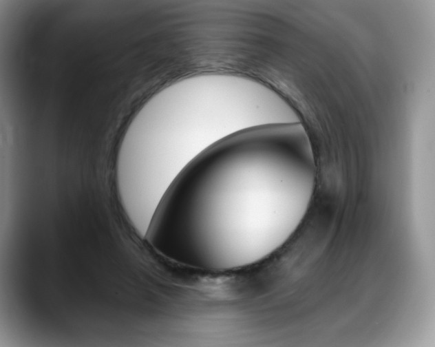 X0000088870450200706080724