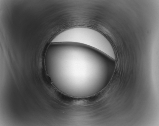 X0000088870452200706080724