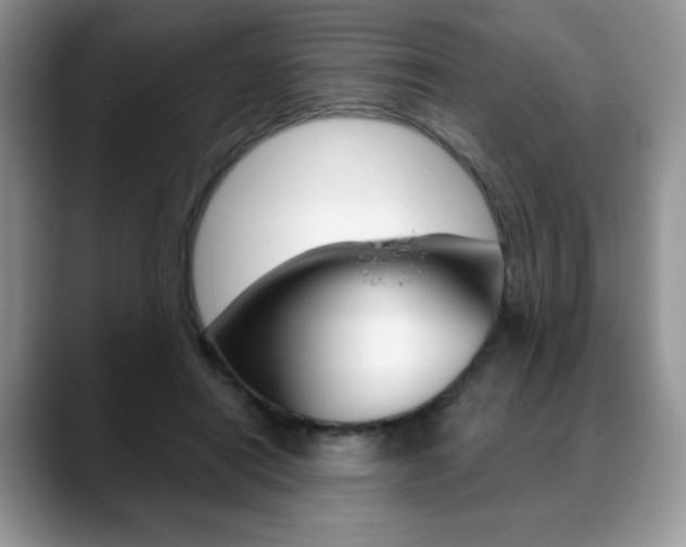 X0000088870454200706080724