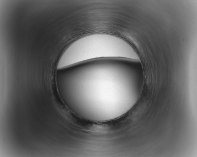 X0000088870455200706080724