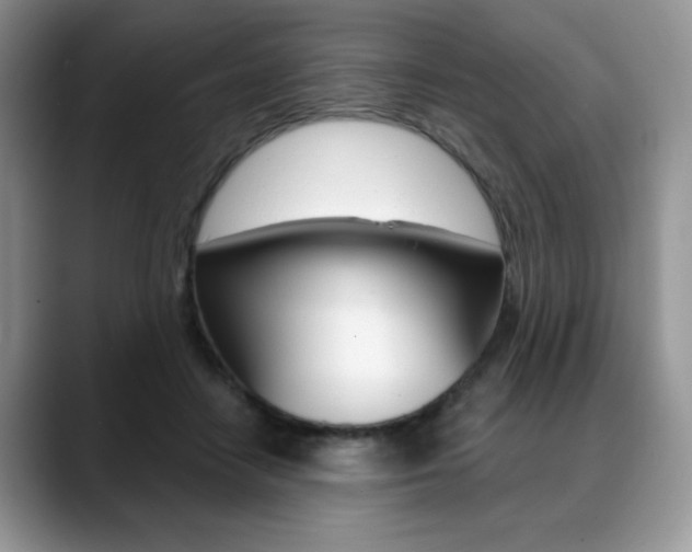 X0000088870458200706080724