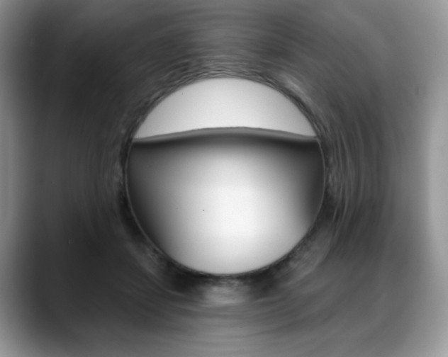 X0000088870459200706080724